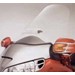 Goldwing GL1800