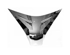 WINDSHIELD GARNISH ACCENTS  PROTOTYPE 45-1295